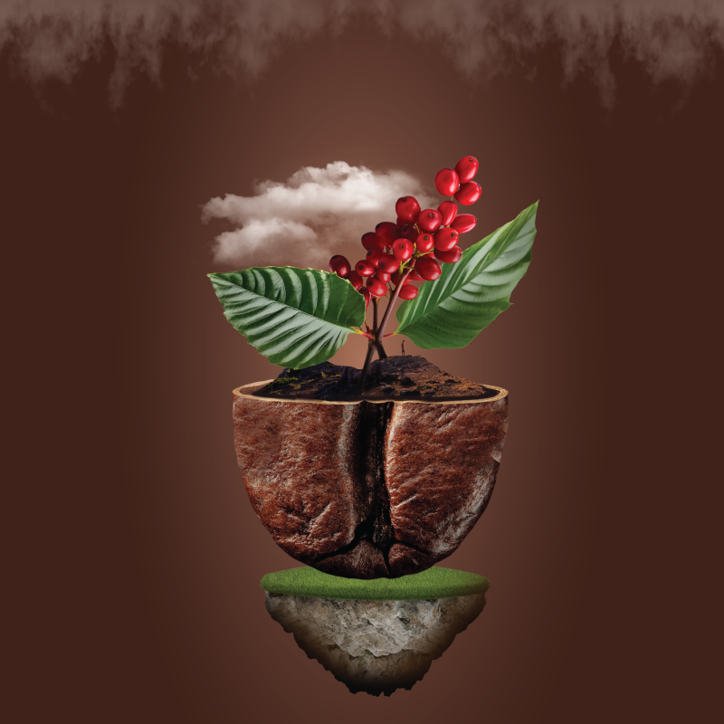 Yemeni Coffee